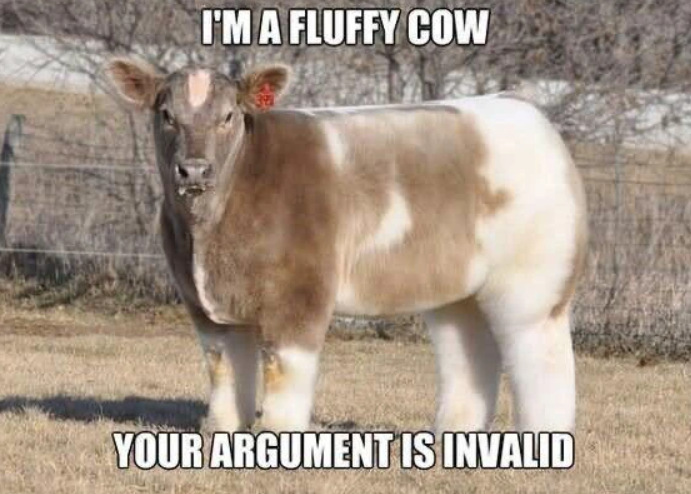 I'M A FLUFFY COW YOUR ARGUMENT IS INVALID