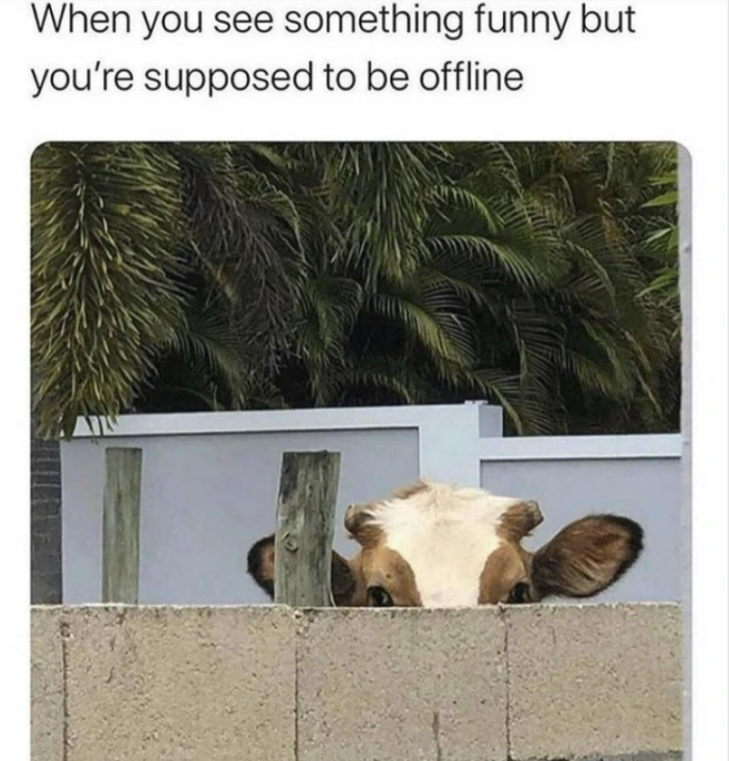 When you see something funny but you're supposed to be offline