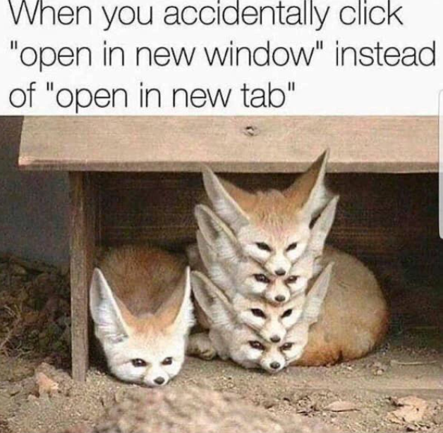 When you accidentally click "open in new window" instead of "open in new tab"