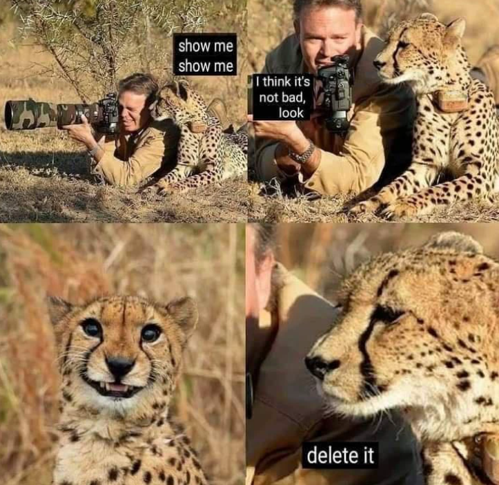 show me show me I think it's not bad, look delete it