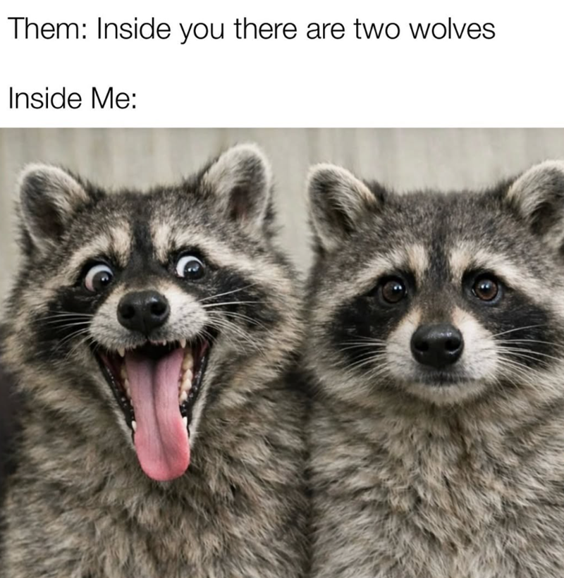 Them: Inside you there are two wolves Inside Me: