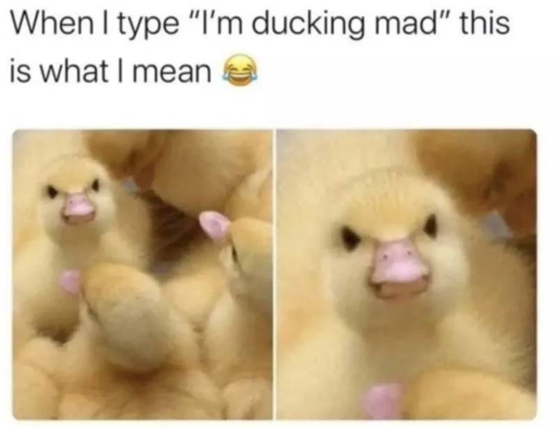 When I type "I'm ducking mad" this is what I mean
