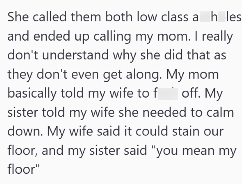 She called them both low class assholes and ended up calling my mom. I really don't understand why she did that as they don't even get along. My mom basically told my wife to fuck off. My sister told my wife she needed to calm down. My wife said it could stain our floor, and my sister said "you mean my floor"
