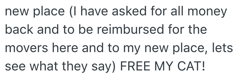 new place (I have asked for all money back and to be reimbursed for the movers here and to my new place, lets see what they say) FREE MY CAT!