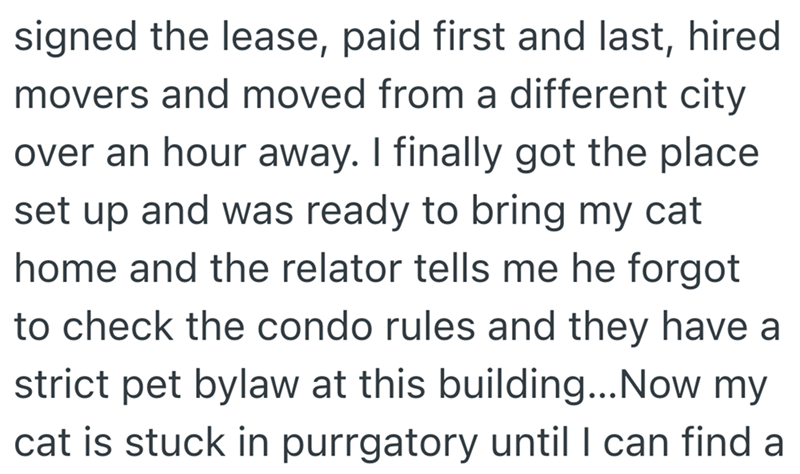signed the lease, paid first and last, hired movers and moved from a different city over an hour away. I finally got the place set up and was ready to bring my cat home and the relator tells me he forgot to check the condo rules and they have a strict pet bylaw at this building... Now my cat is stuck in purrgatory until I can find a