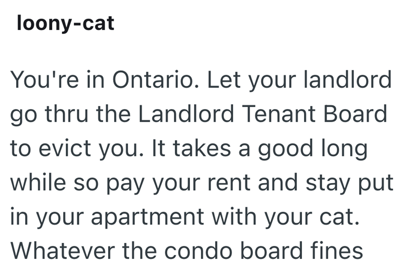 loony-cat You're in Ontario. Let your landlord go thru the Landlord Tenant Board to evict you. It takes a good long while so pay your rent and stay put in your apartment with your cat. Whatever the condo board fines