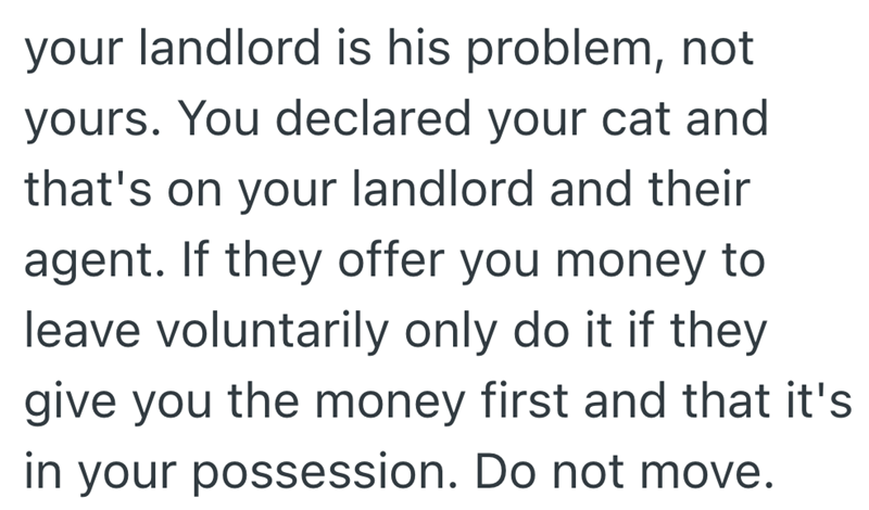 your landlord is his problem, not yours. You declared your cat and that's on your landlord and their agent. If they offer you money to leave voluntarily only do it if they give you the money first and that it's in your possession. Do not move.