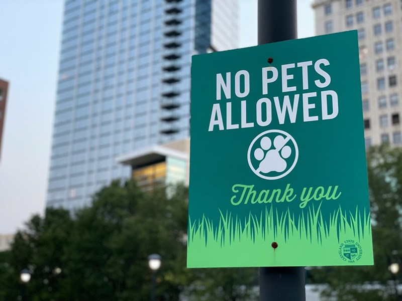 NO PETS ALLOWED Thank you