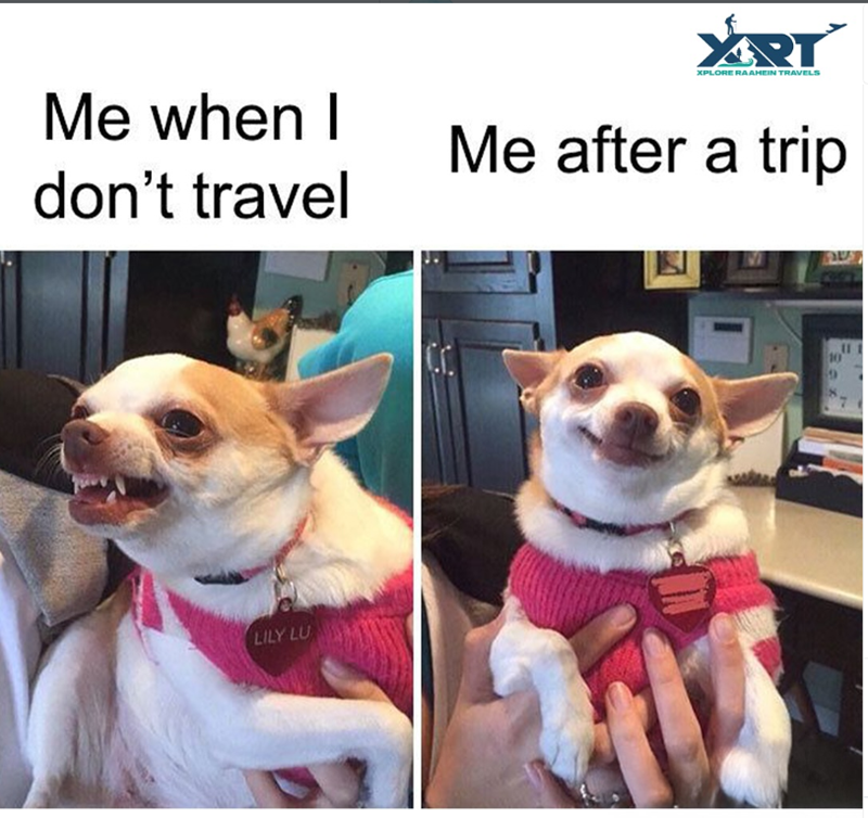 Me when I don't travel LILY LU VART XPLORE RAAHEIN TRAVELS Me after a trip 11