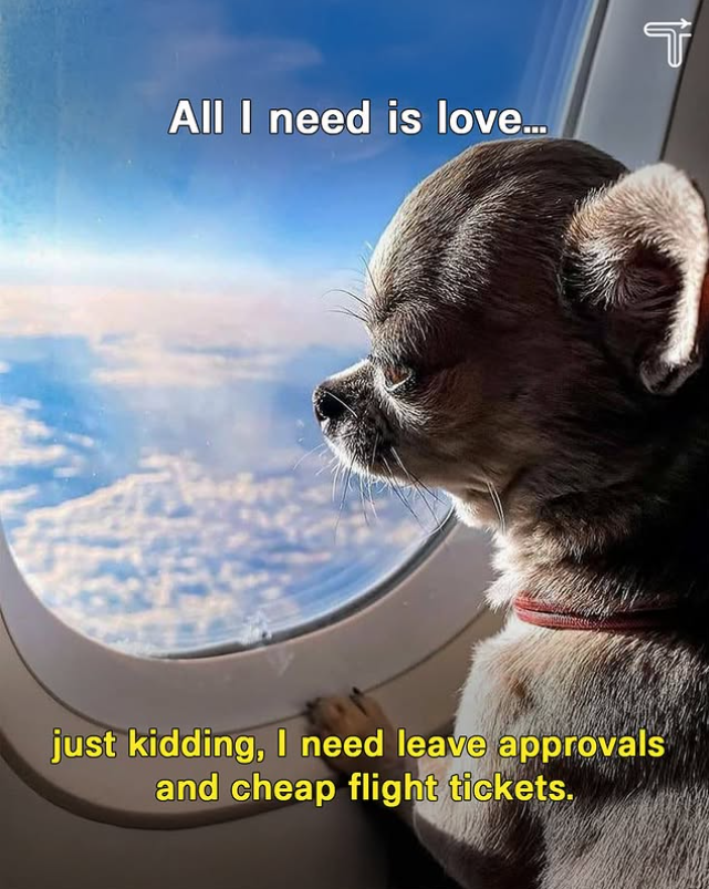 All I need is love... just kidding, I need leave approvals and cheap flight tickets. الے