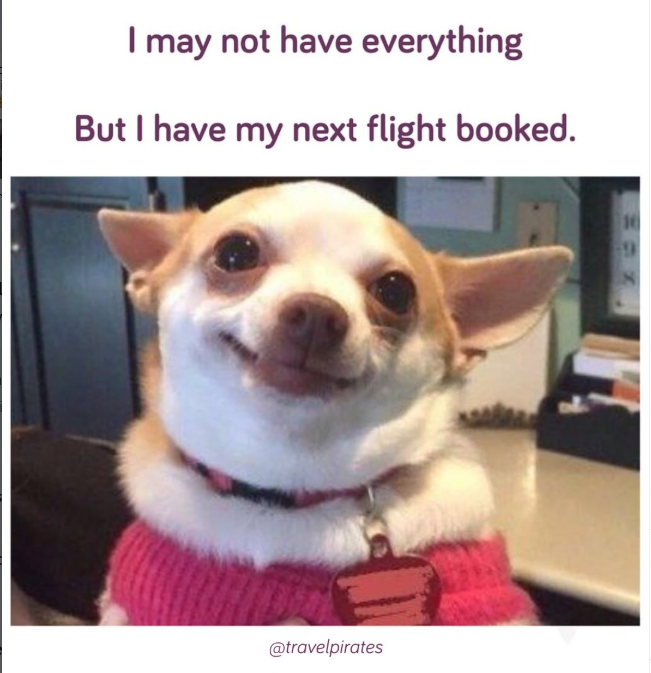 I may not have everything But I have my next flight booked. @travelpirates 14