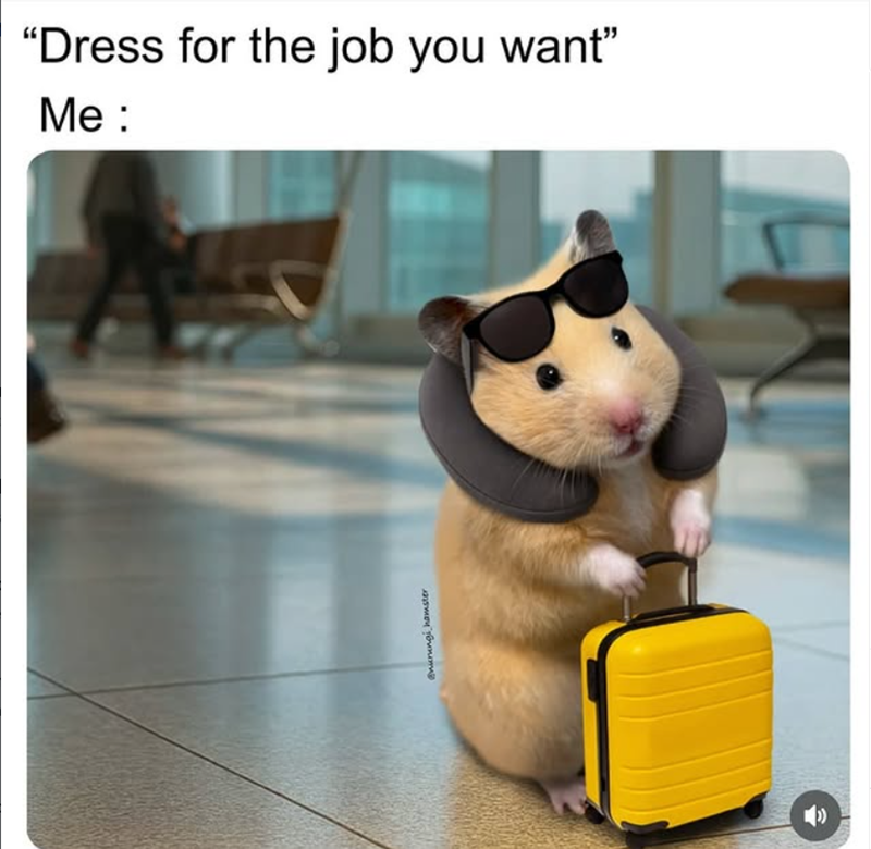 anurungi hamster "Dress for the job you want❞ Me: