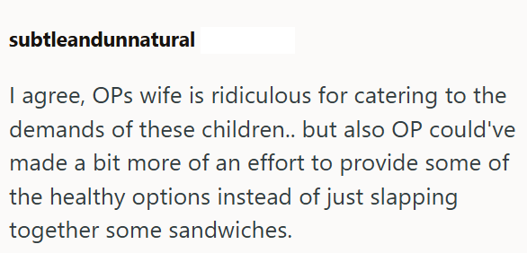 subtleandunnatural I agree, OPs wife is ridiculous for catering to the demands of these children.. but also OP could've made a bit more of an effort to provide some of the healthy options instead of just slapping together some sandwiches.