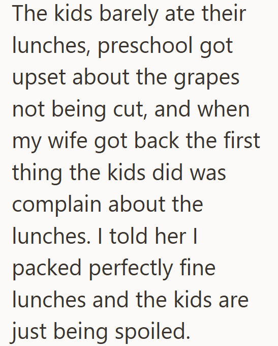 The kids barely ate their lunches, preschool got upset about the grapes not being cut, and when my wife got back the first thing the kids did was complain about the lunches. I told her I packed perfectly fine lunches and the kids are just being spoiled.
