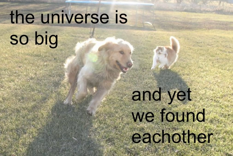 the universe is so big and yet we found eachother