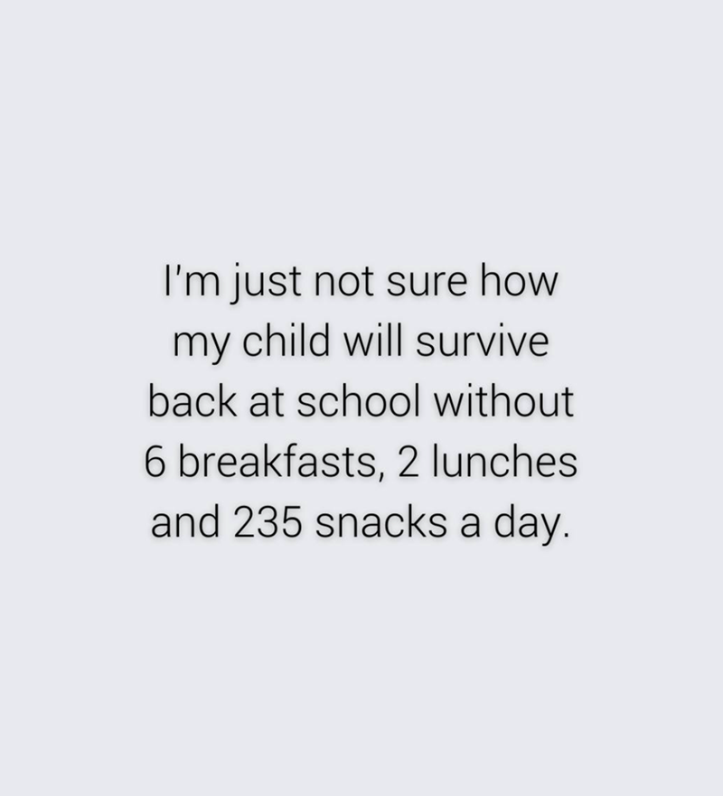 I'm just not sure how my child will survive back at school without 6 breakfasts, 2 lunches and 235 snacks a day.