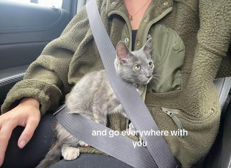 and go everywhere with you