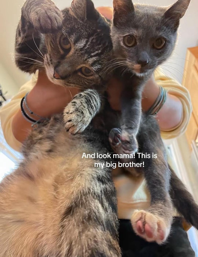 And look mama! This is my big brother!
