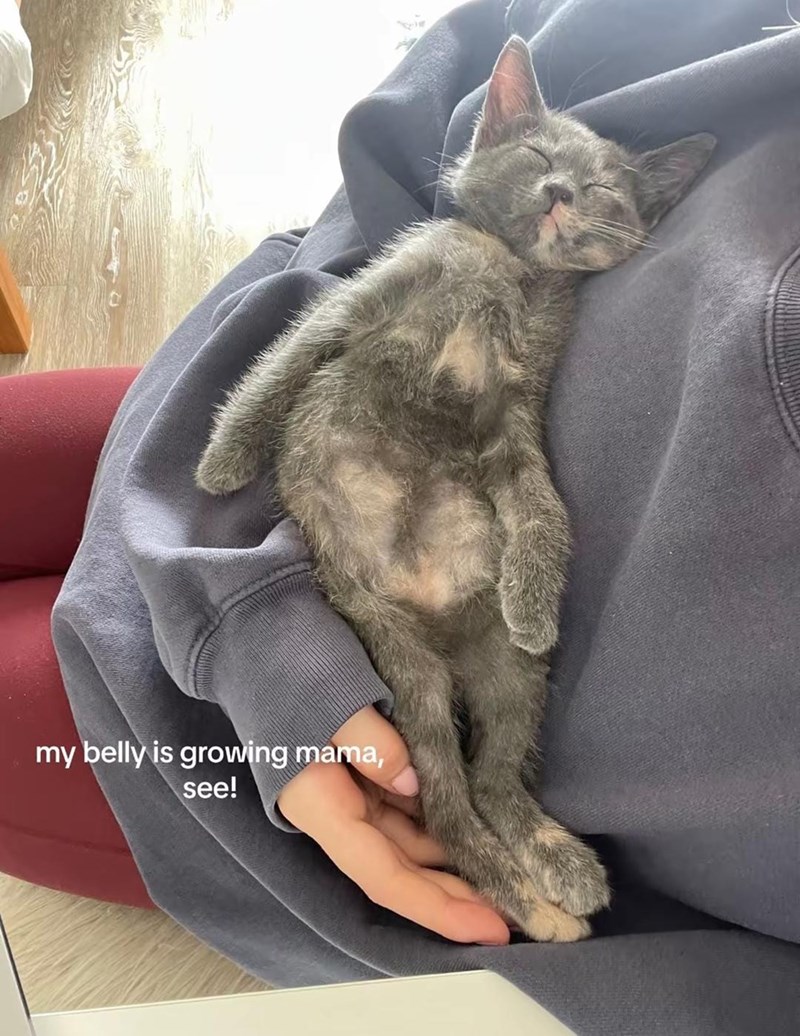 my belly is growing mama, see!