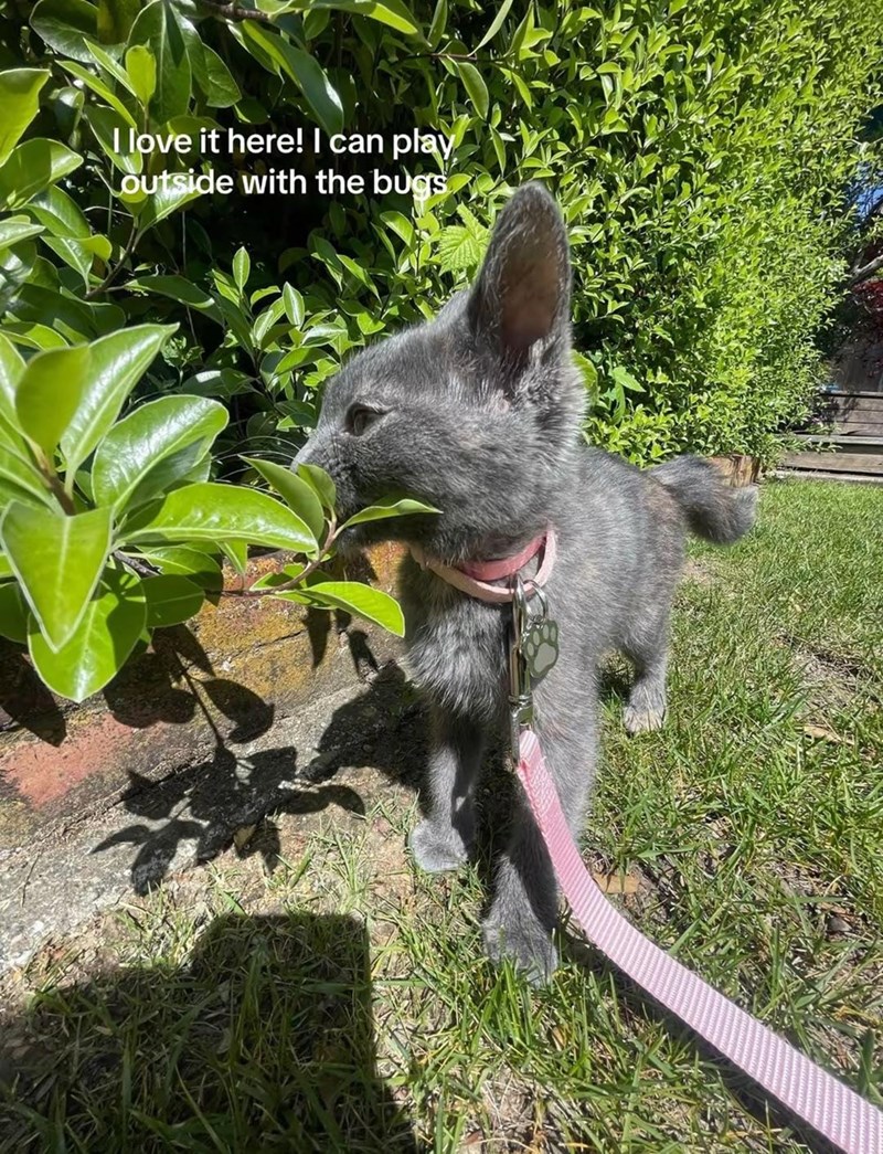 I love it here! I can play outside with the bugs