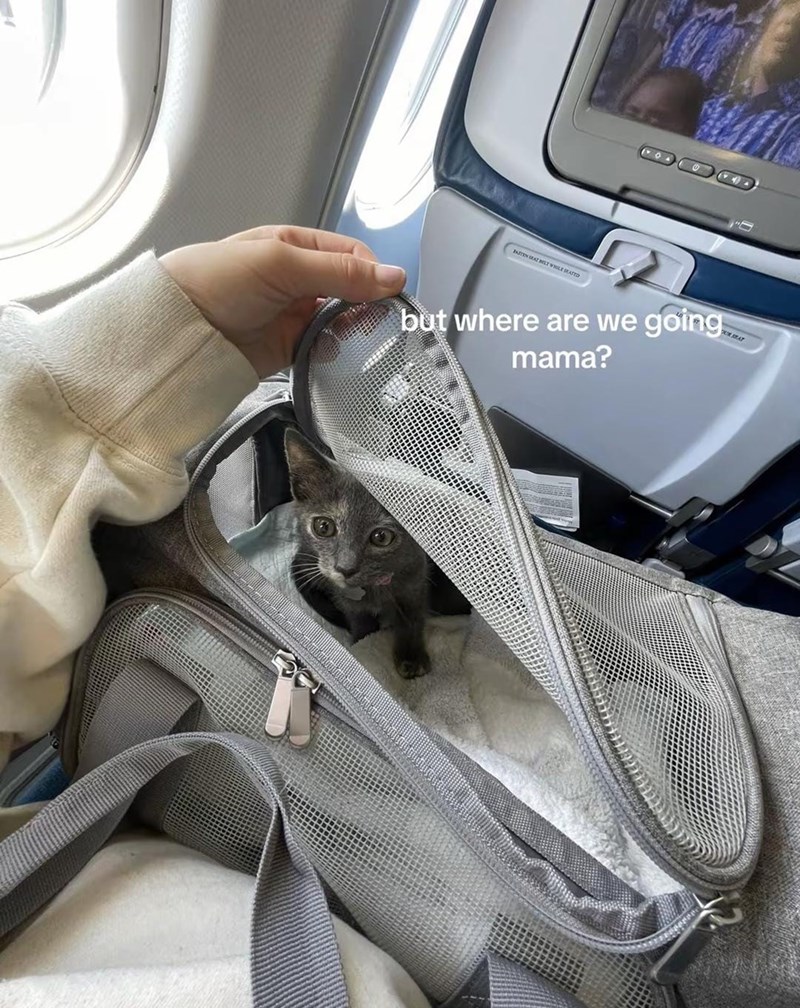 JANET LT WHILE SEATED but where are we going mama? SEAT