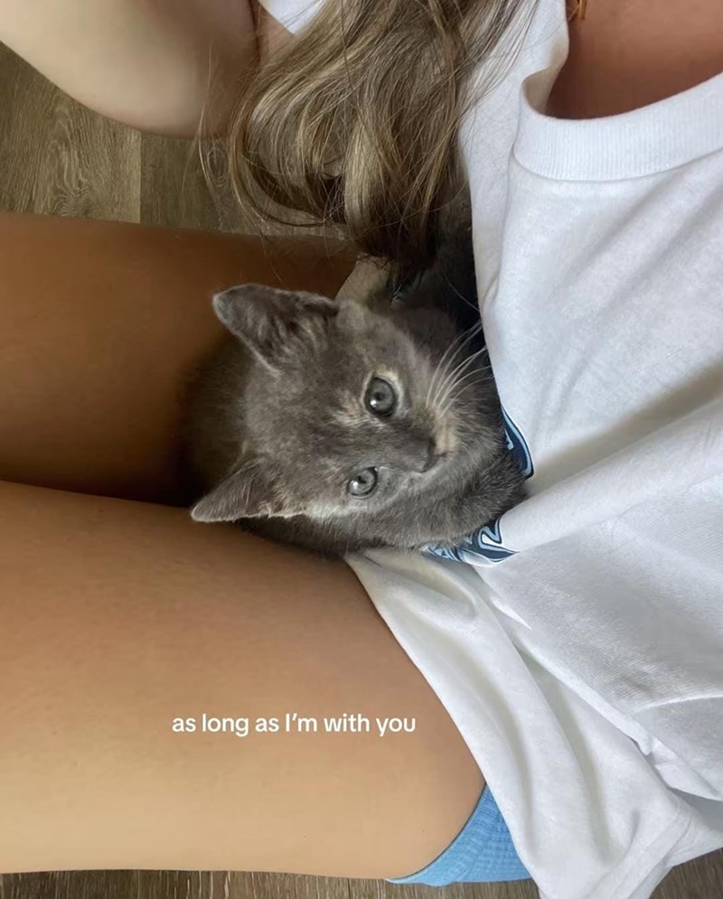 as long as I'm with you