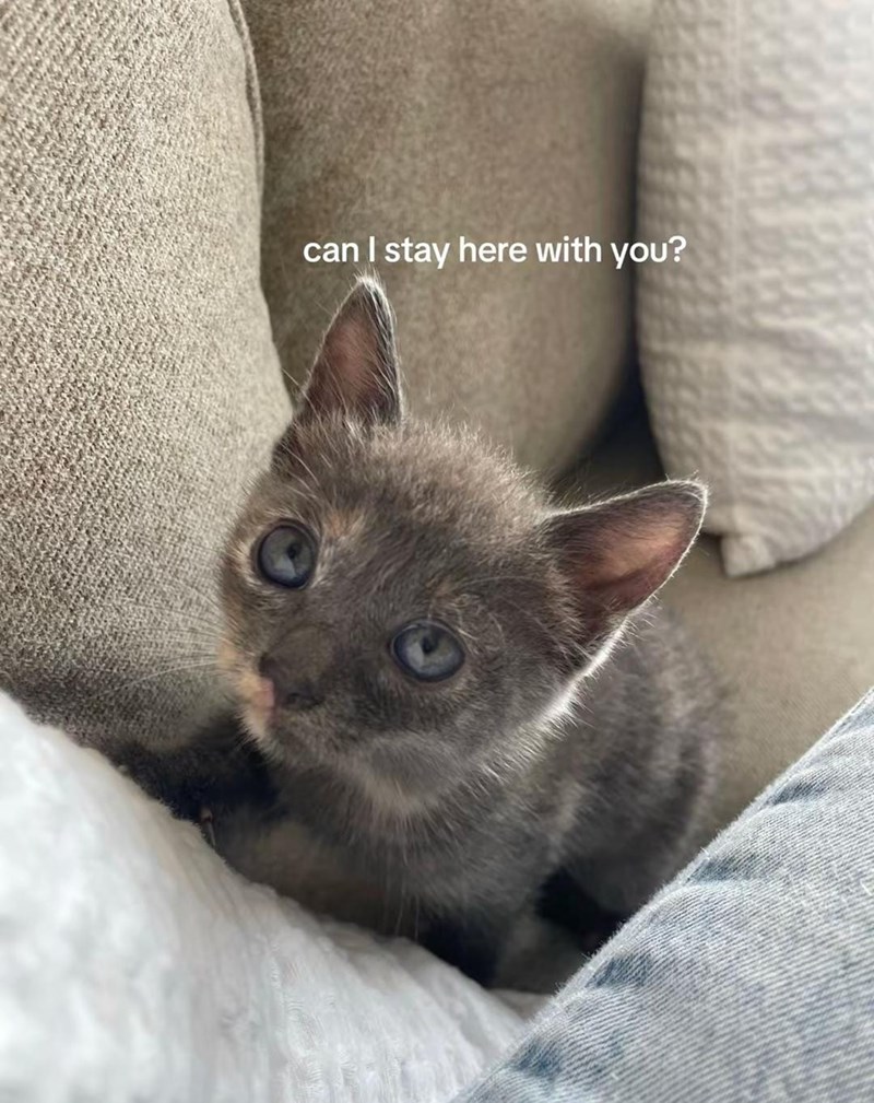 can I stay here with you? O