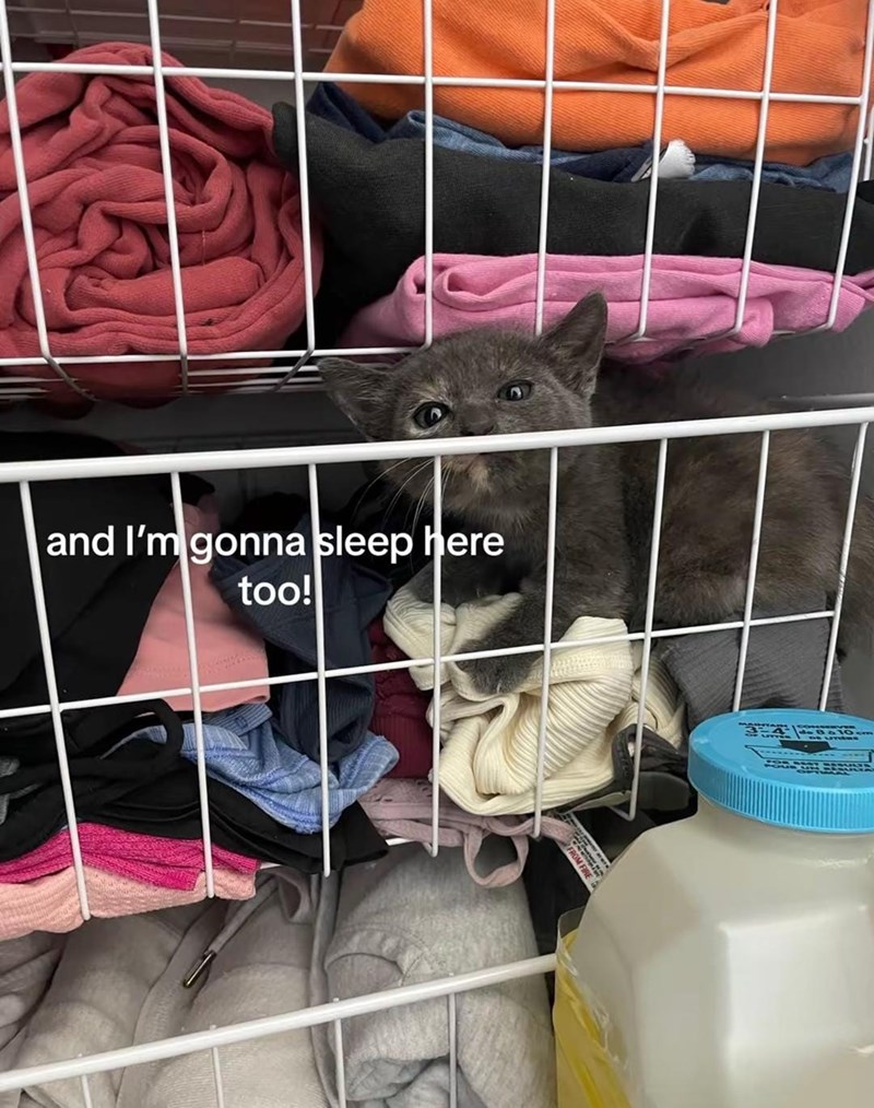 and I'm gonna sleep here too! Π
