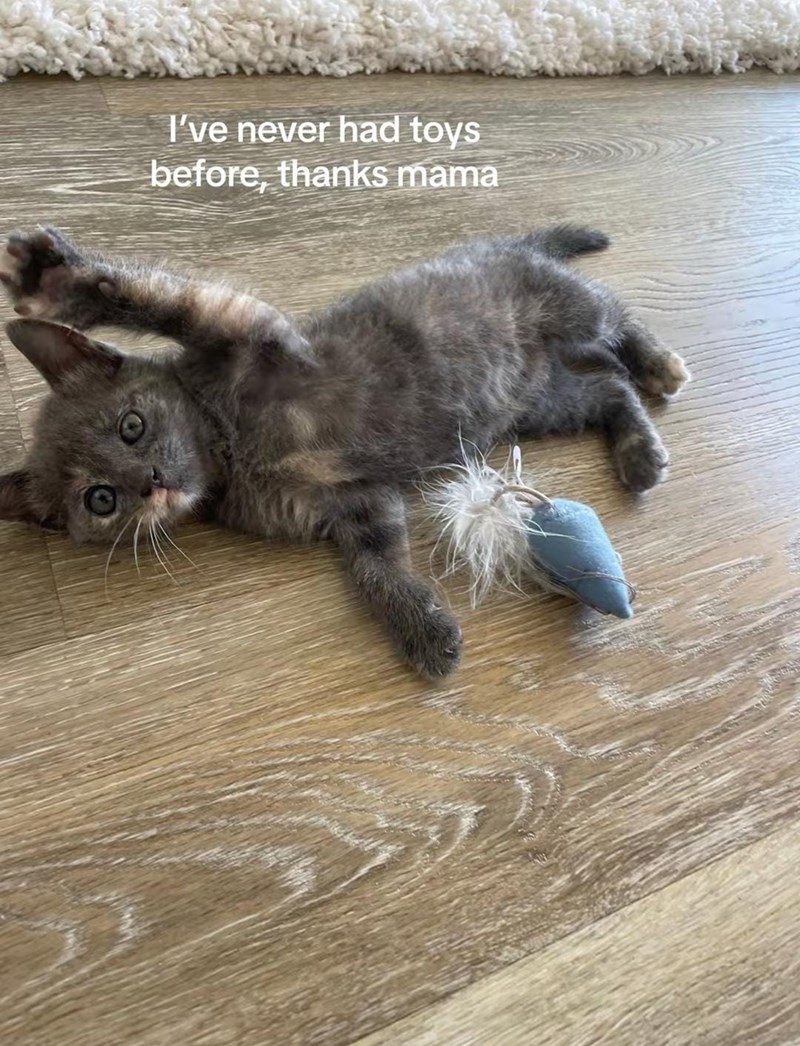 I've never had toys before, thanks mama