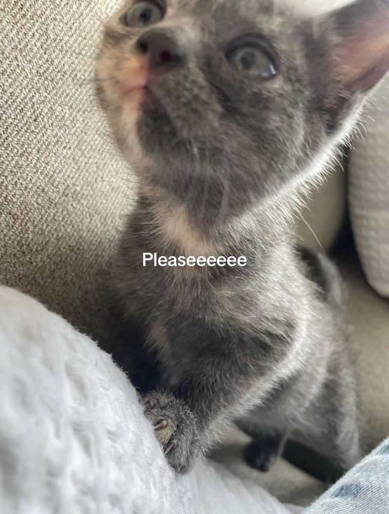 Pleaseeeeee