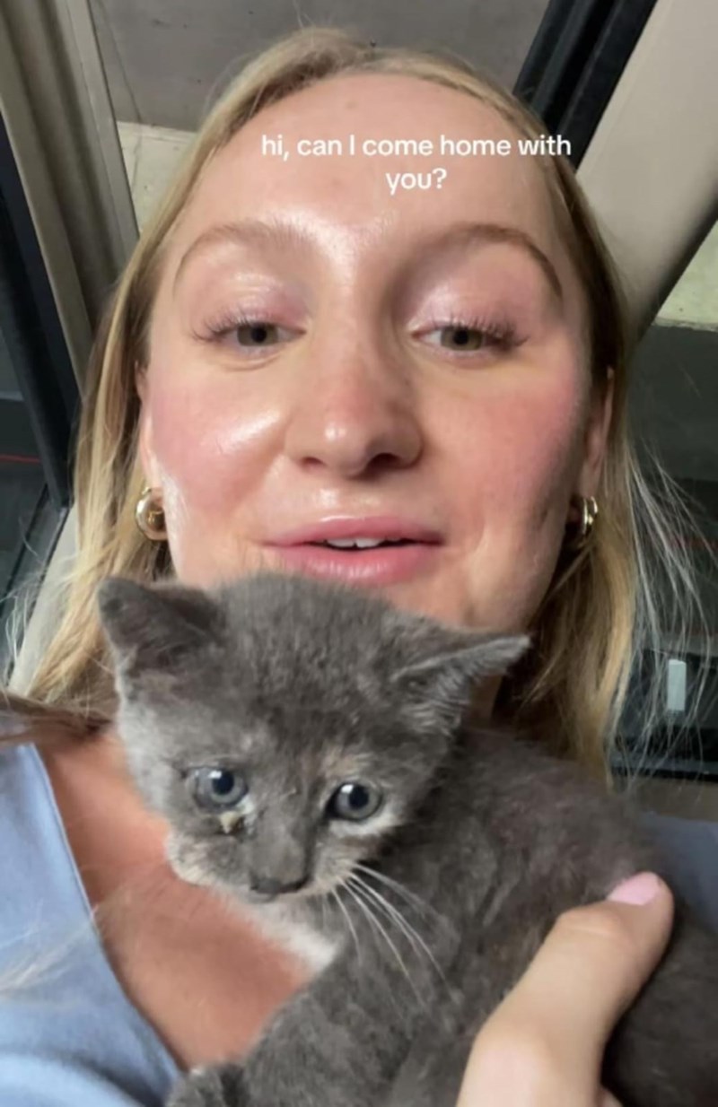 hi, can I come home with you?