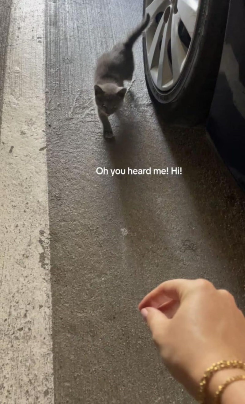 Oh you heard me! Hi!
