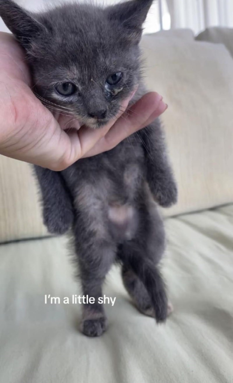 I'm a little shy