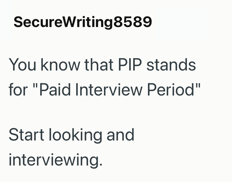 SecureWriting8589 You know that PIP stands for "Paid Interview Period" Start looking and interviewing.
