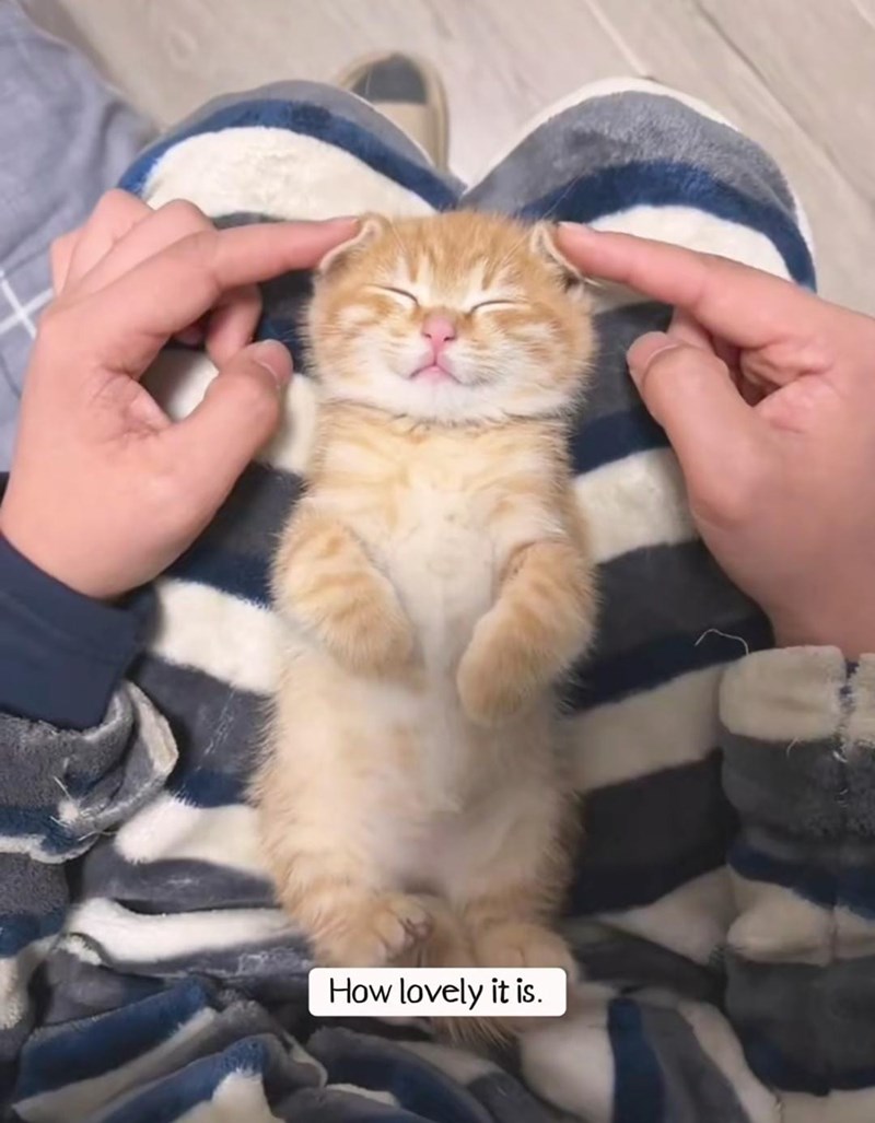 How lovely it is.