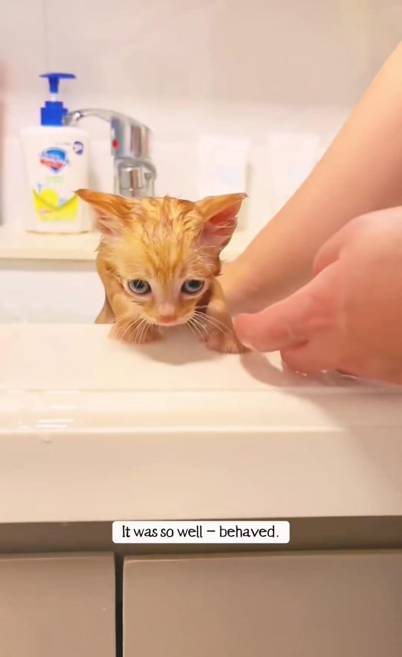 It was so well-behaved.
