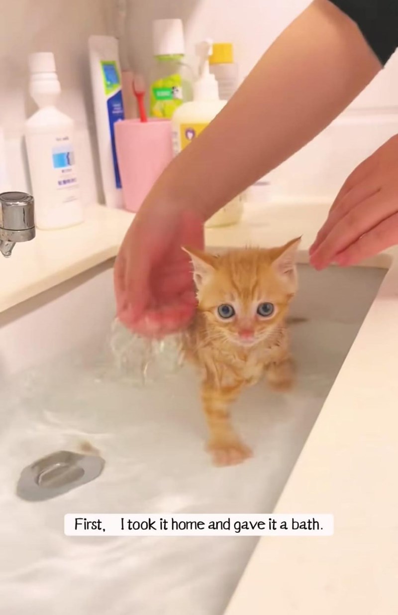 First, I took it home and gave it a bath.