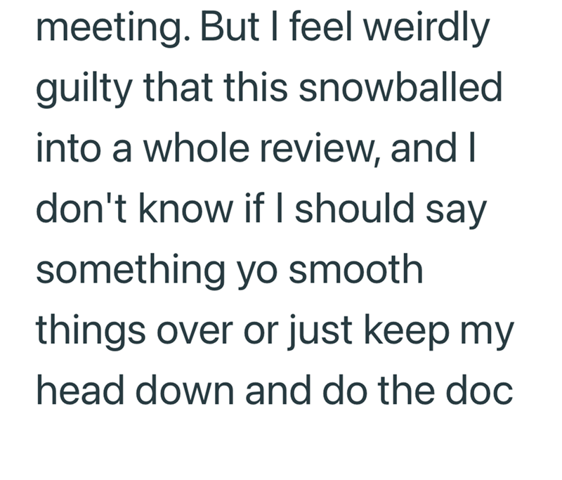 meeting. But I feel weirdly guilty that this snowballed into a whole review, and I don't know if I should say something yo smooth things over or just keep my head down and do the doc