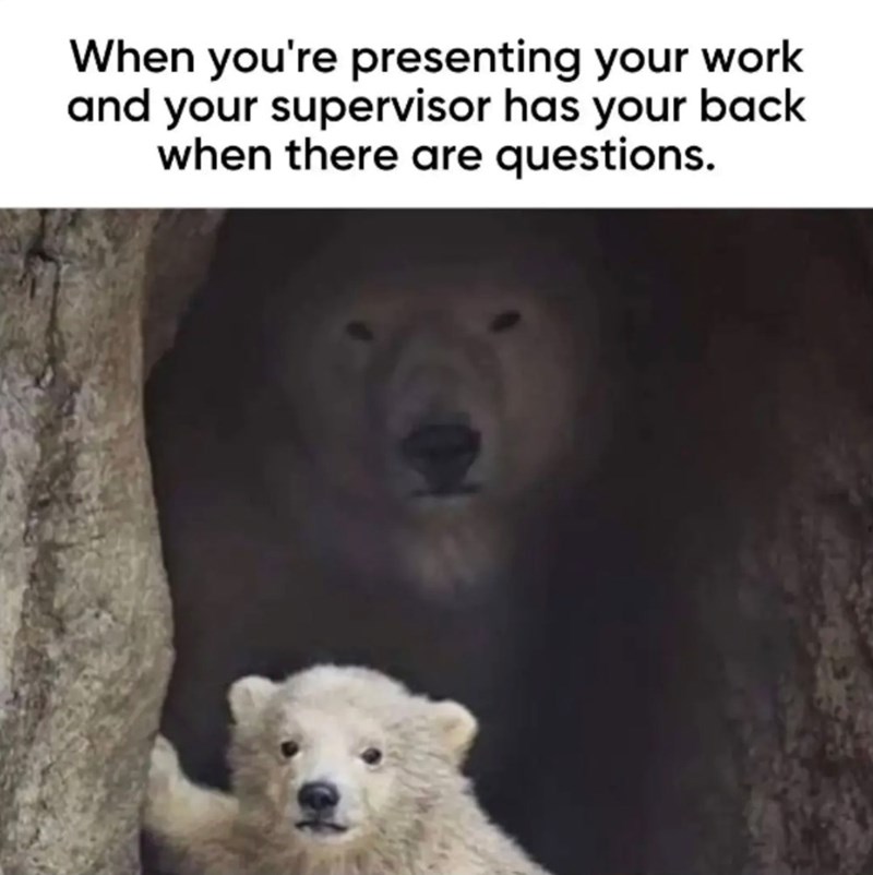 When you're presenting your work and your supervisor has your back when there are questions.