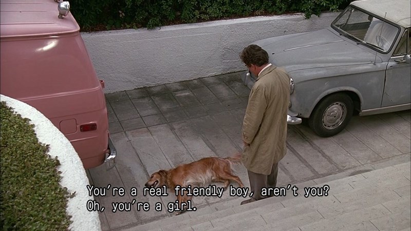 You're a real friendly boy, aren't you? Oh, you're a girl.