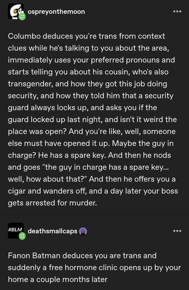 Co ospreyonthemoon Columbo deduces you're trans from context clues while he's talking to you about the area, immediately uses your preferred pronouns and starts telling you about his cousin, who's also transgender, and how they got this job doing security, and how they told him that a security guard always locks up, and asks you if the guard locked up last night, and isn't it weird the place was open? And you're like, well, someone else must have opened it up. Maybe the guy in charge? He has a s