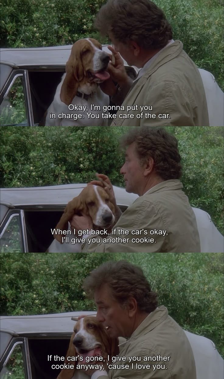 Okay, I'm gonna put you in charge. You take care of the car. When I get back, if the car's okay, I'll give you another cookie. If the car's gone, I give you another cookie anyway, 'cause I love you.