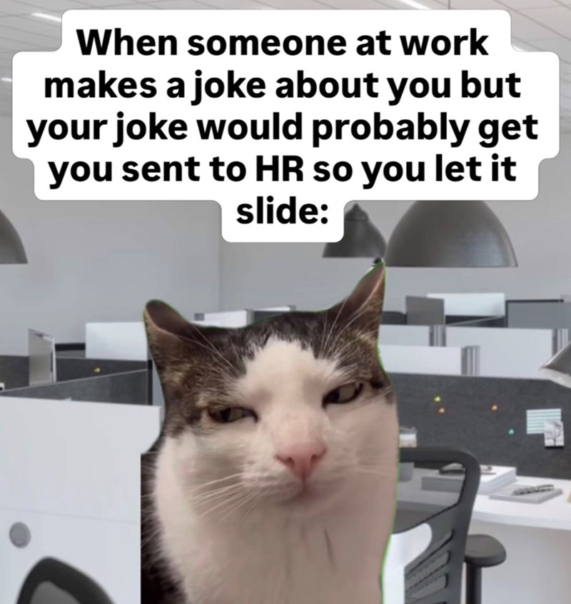 When someone at work makes a joke about you but your joke would probably get you sent to HR so you let it slide: