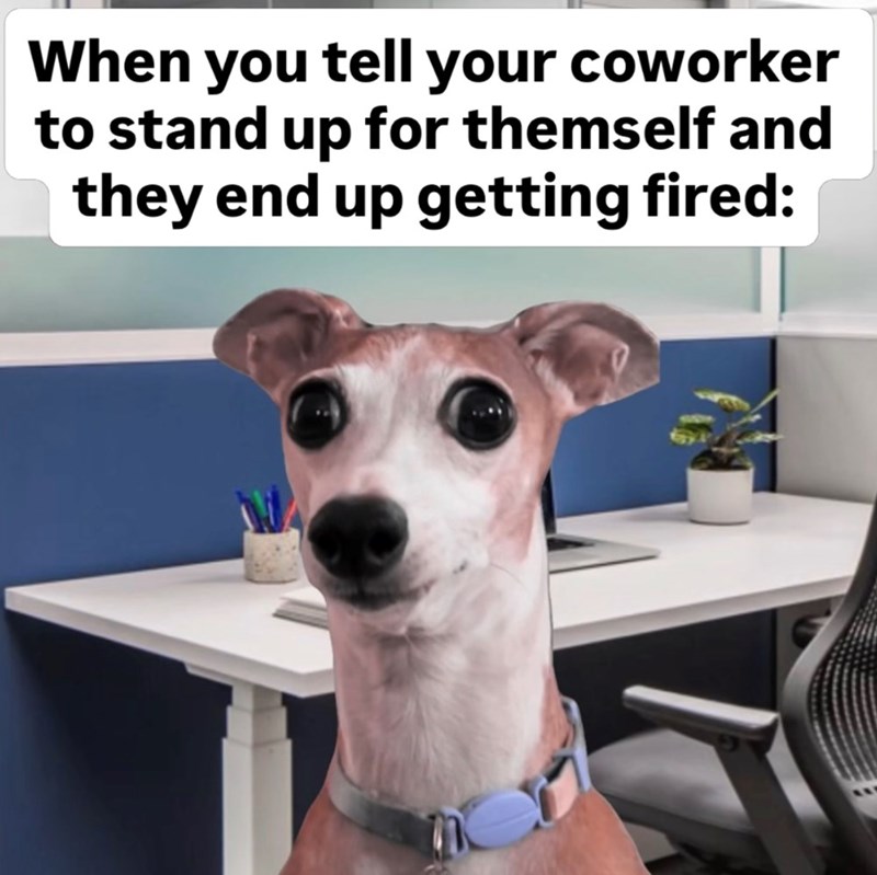 When you tell your coworker to stand up for themself and they end up getting fired: