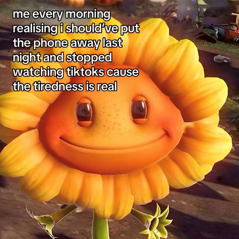 me every morning realising i should've put the phone away last night and stopped watching tiktoks cause the tiredness is real