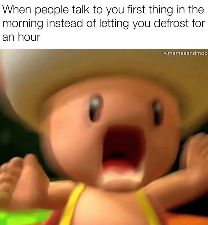 When people talk to you first thing in the morning instead of letting you defrost for an hour @memesandmoo