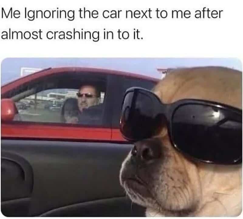 Me Ignoring the car next to me after almost crashing in to it.