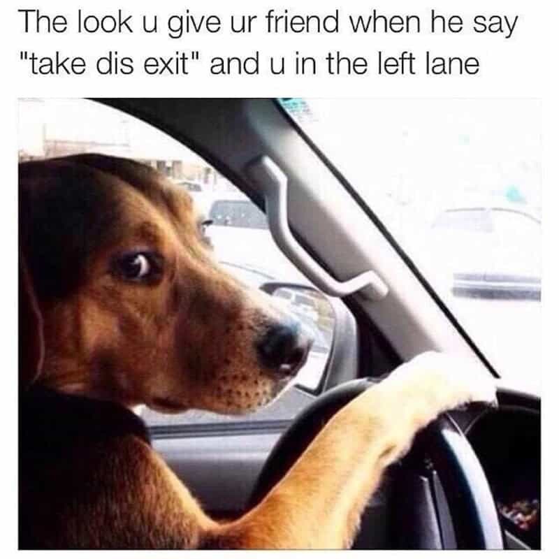 The look u give ur friend when he say "take dis exit" and u in the left lane