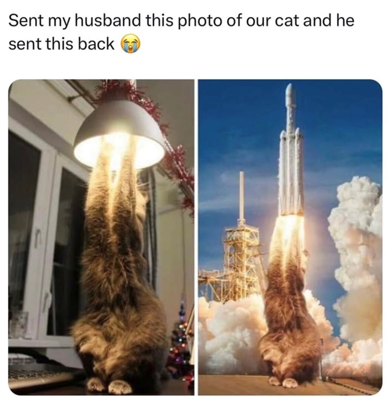 Sent my husband this photo of our cat and he sent this back