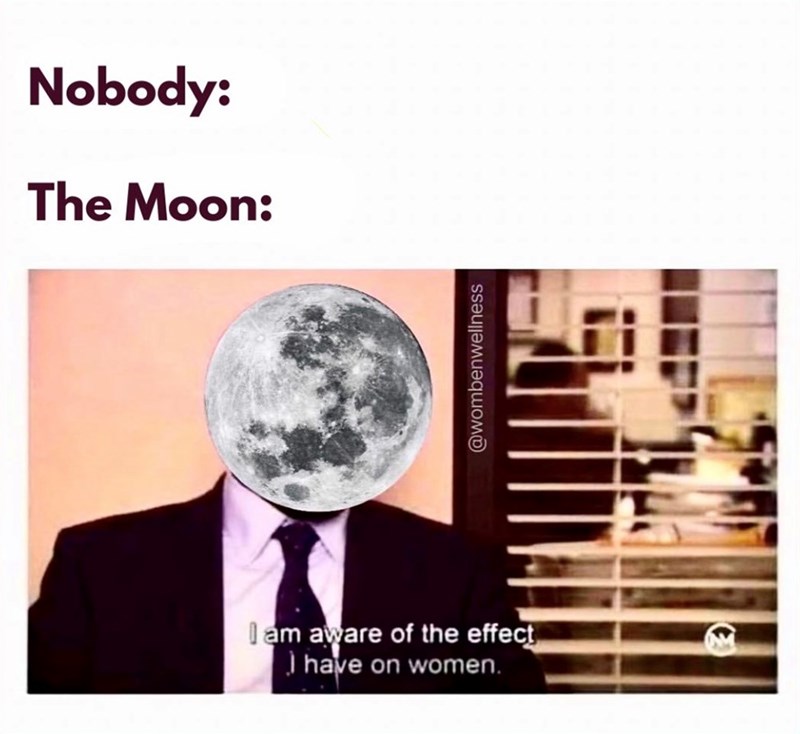 Nobody: The Moon: I am aware of the effect I have on women. @wombenwellness